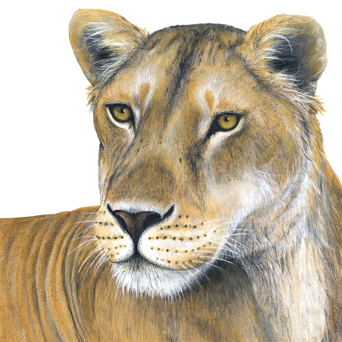 Lioness Wall Decal (46 in. X 22 in.)