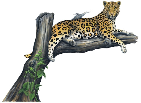 Leopard Wall Decal (Two Sizes)