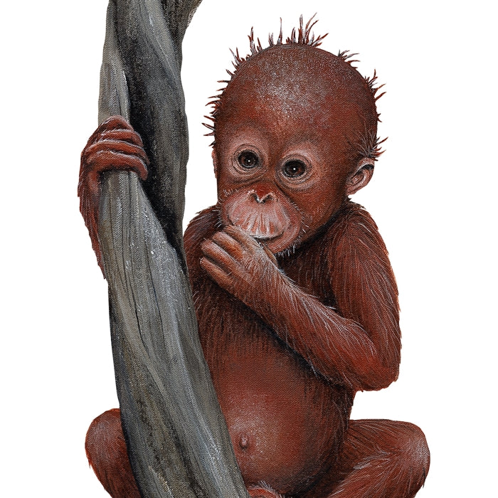 Orangutan & Toucan On A Vine Wall Decal (10 in. x 70 in.)