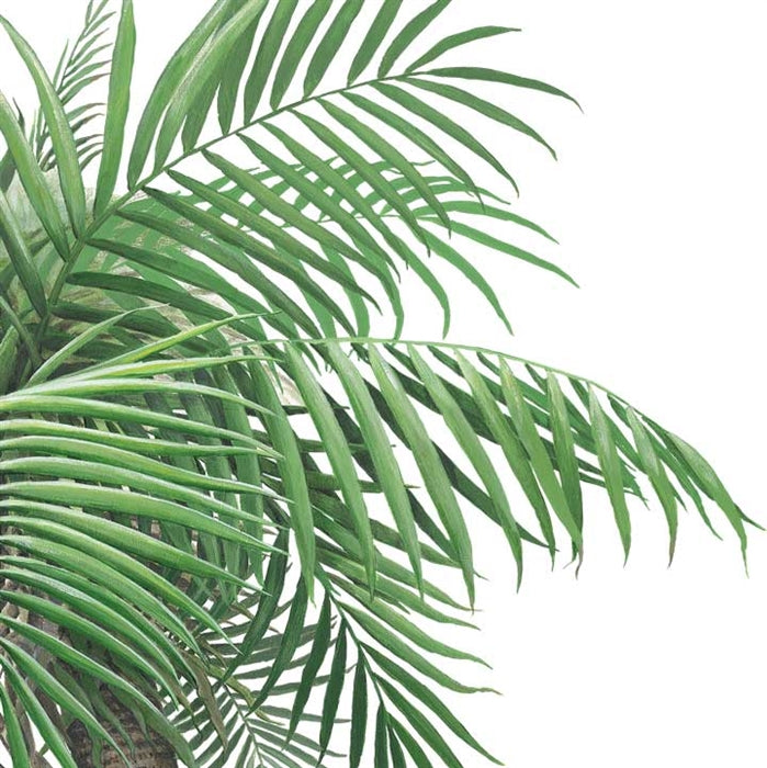 Palm Tree Wall Decal (Small - 36 in. x 72 in.)