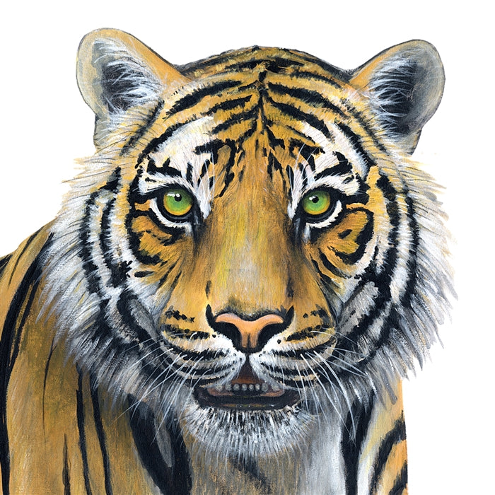 Tiger Wall Decal (38 in. X 32 in.)