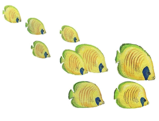 Tropical Fish Wall Decals Collection