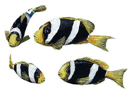 Tropical Fish Wall Decals Collection