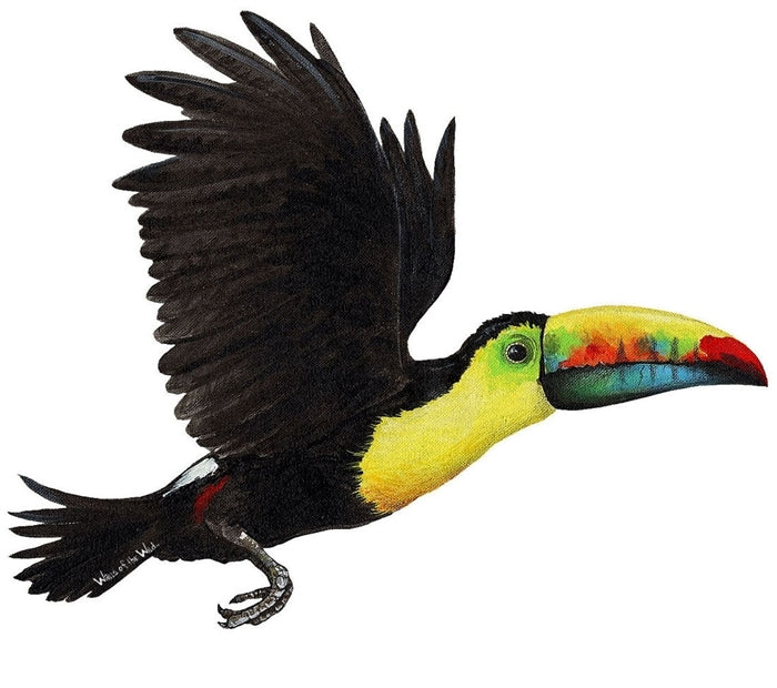 Tropical Birds Wall Decals Collection