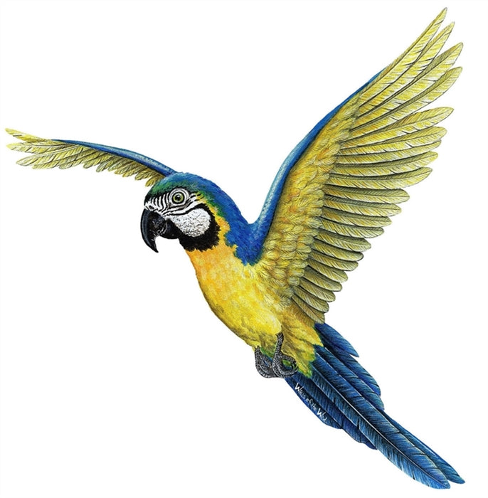 Tropical Birds Wall Decals Collection