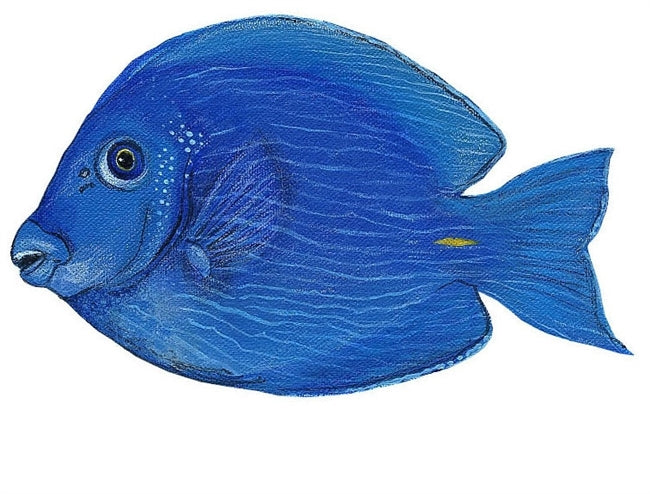 Ocean and Fish Wall Decals Collection (28 Decals)