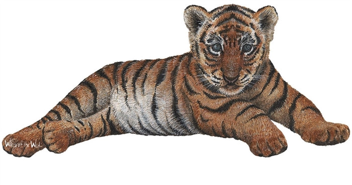 Safari and Jungle Wall Decal Economy Size Collection