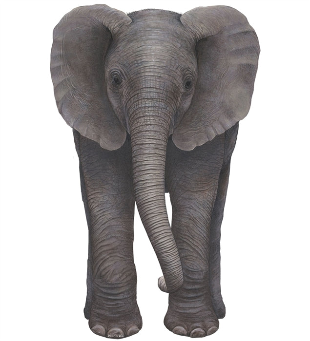 Safari and Jungle Wall Decal Economy Size Collection