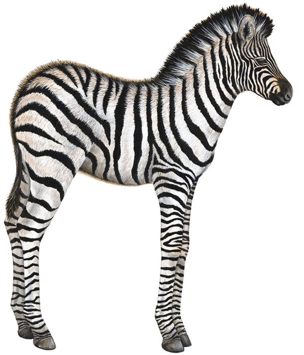 Safari and Jungle Wall Decal Economy Size Collection