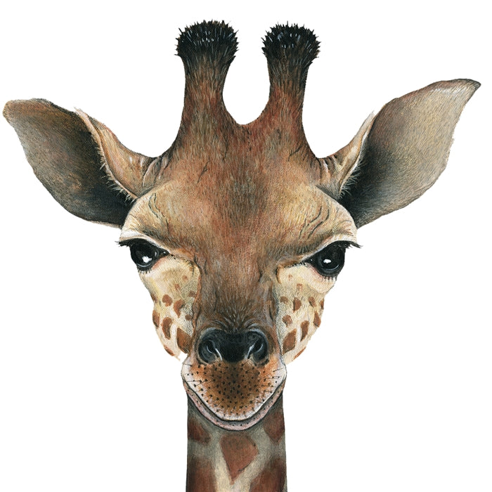 Giraffe Wall Decal (13 in. x 63 in.)