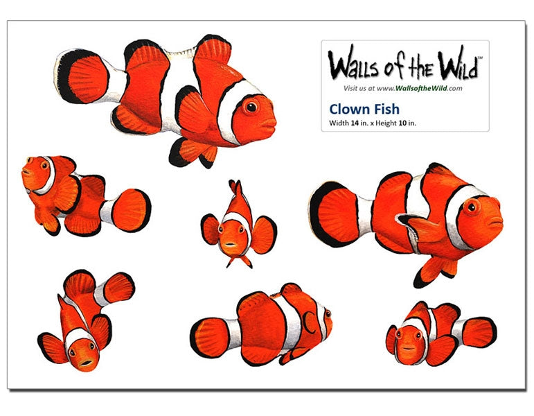 Clownfish Wall Decals (14 in. x 10 in.)
