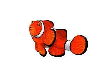 Clownfish Wall Decals (14 in. x 10 in.)