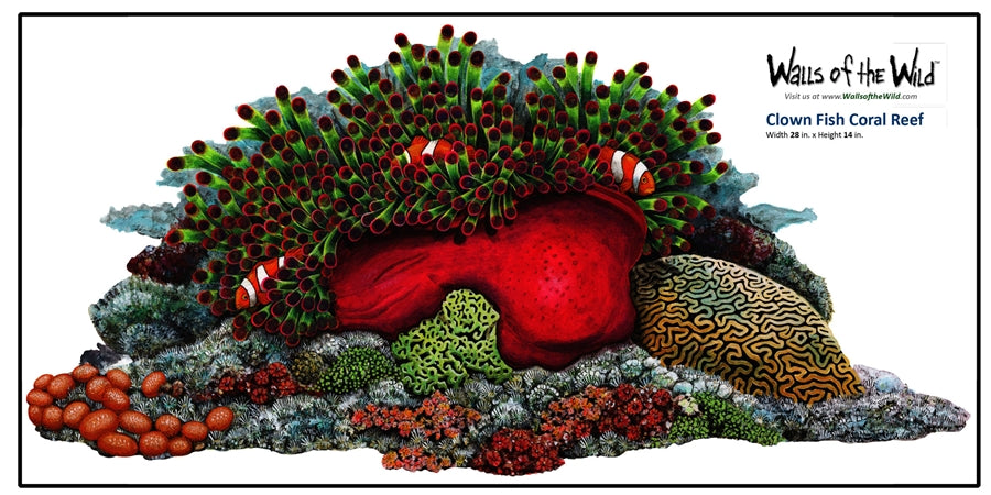 Clownfish Coral Reef Wall Decal (28 in. x 14 in.)