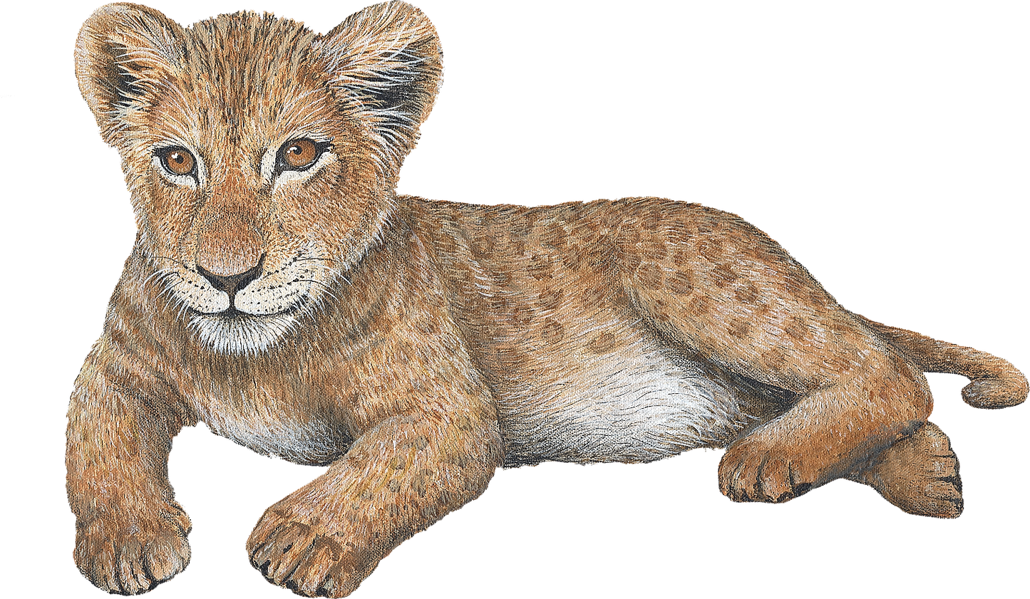Big Cat Cubs Wall Decals Collection