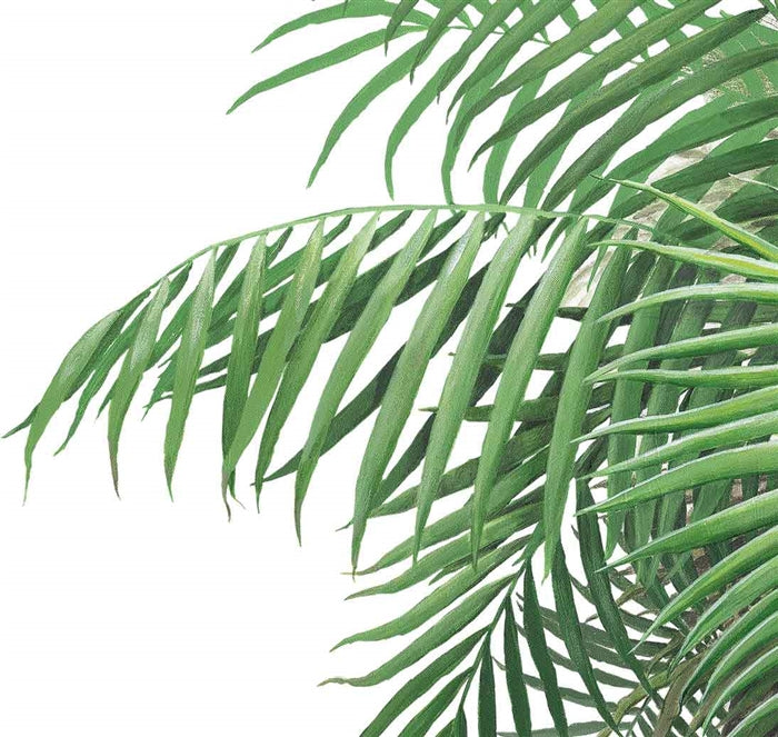 Palm Tree Wall Decal (Large 42 in. x 90 in.)