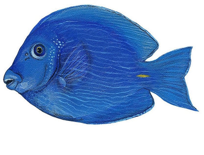 Tropical Fish Wall Decals Collection