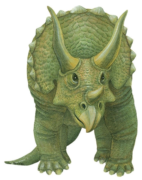 Dinosaur Economy Size Wall Decals Collection (19 Small Size Decals)