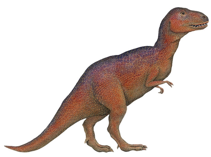 Dinosaur Economy Size Wall Decals Collection (19 Small Size Decals)
