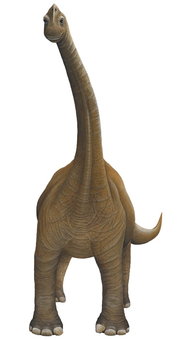 Dinosaur Economy Size Wall Decals Collection (19 Small Size Decals)