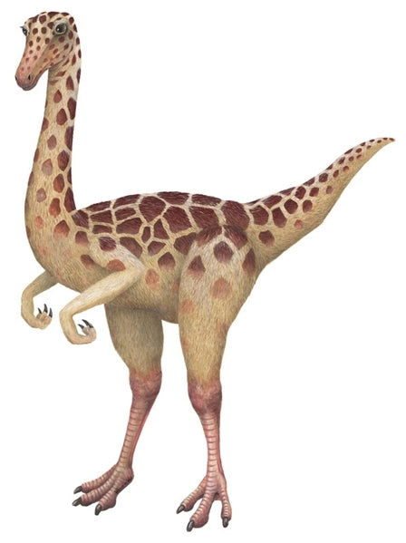Dinosaur Economy Size Wall Decals Collection (19 Small Size Decals)
