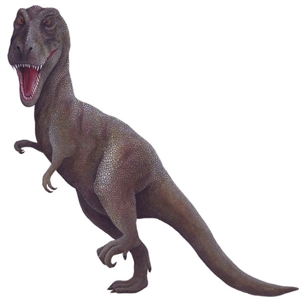 Dinosaur Economy Size Wall Decals Collection (19 Small Size Decals)