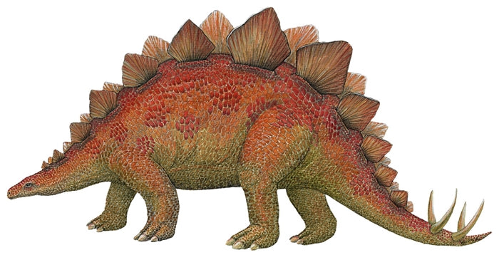 Dinosaur Economy Size Wall Decals Collection (19 Small Size Decals)
