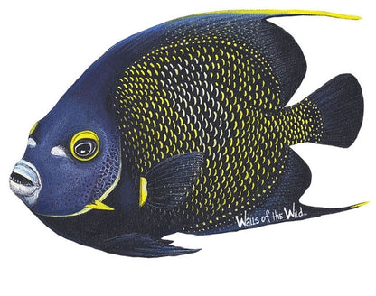 Ocean and Fish Wall Decals Collection (28 Decals)