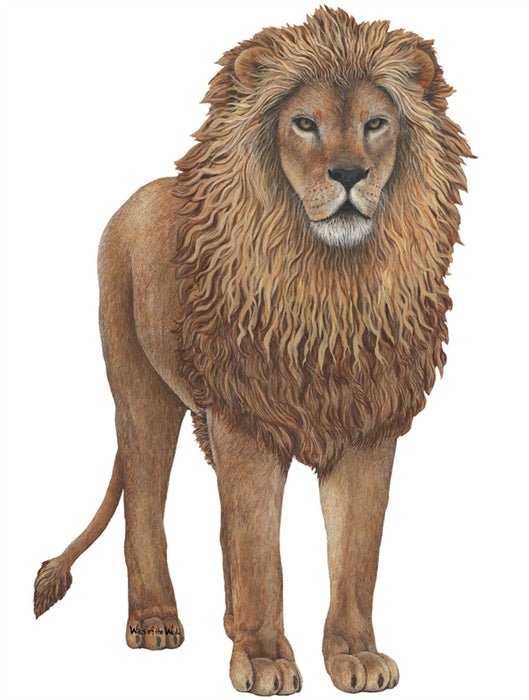 Safari and Jungle Wall Decal Economy Size Collection