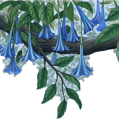 Blue Flower Vine Border Wall Decal (45 in. x 14 in.)